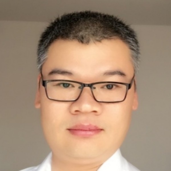 动听拾忆大树的照片