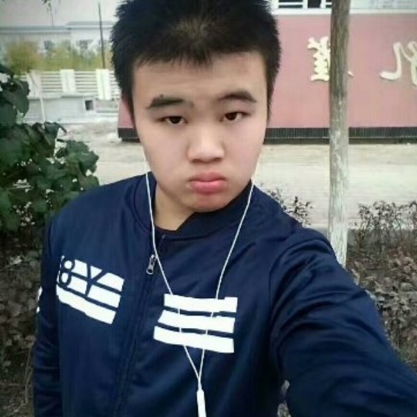 繁荣向小鸭子的照片