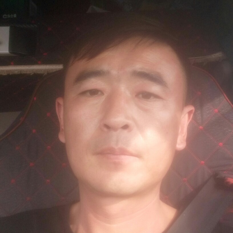 孤独的狼的照片