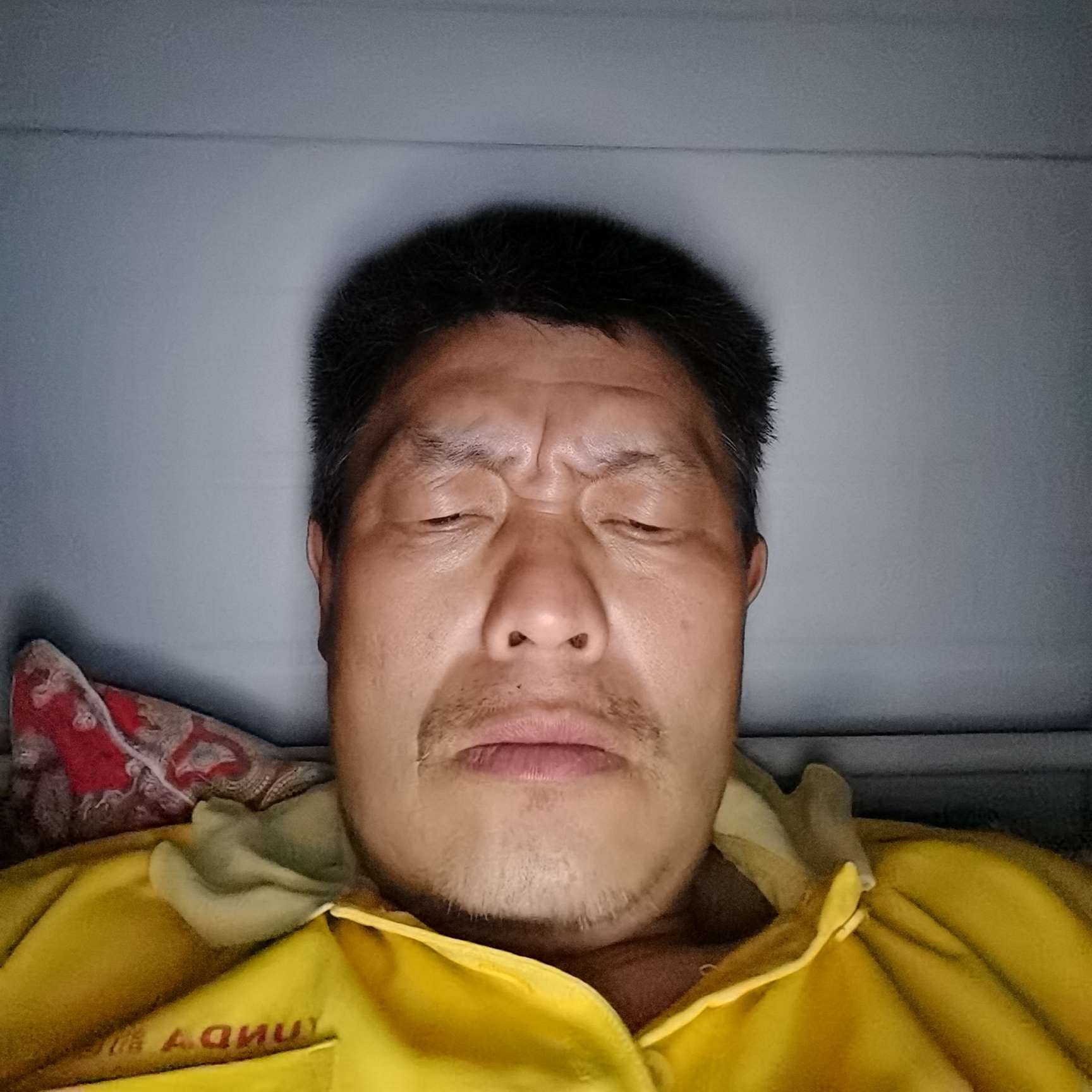 鲤鱼等待老虎的照片