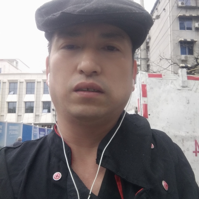 金鱼合适的照片