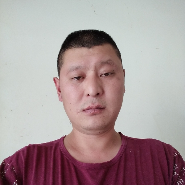 大炮缓慢的照片