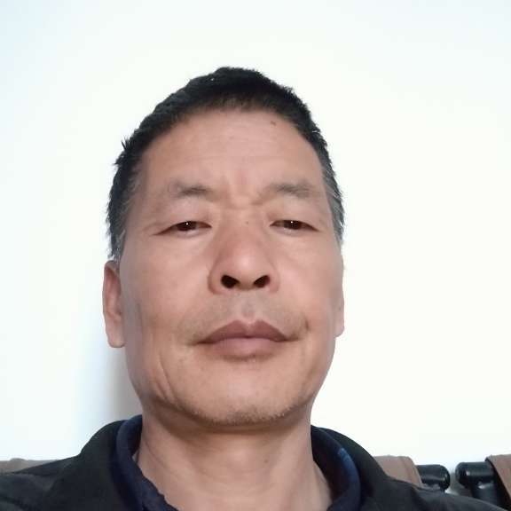 与风争速的照片