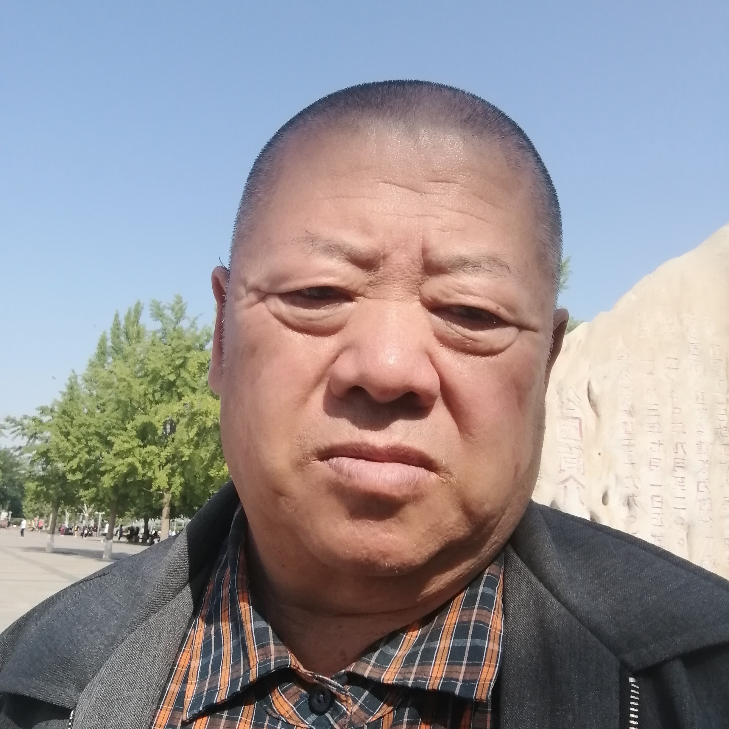坦率向发卡的照片