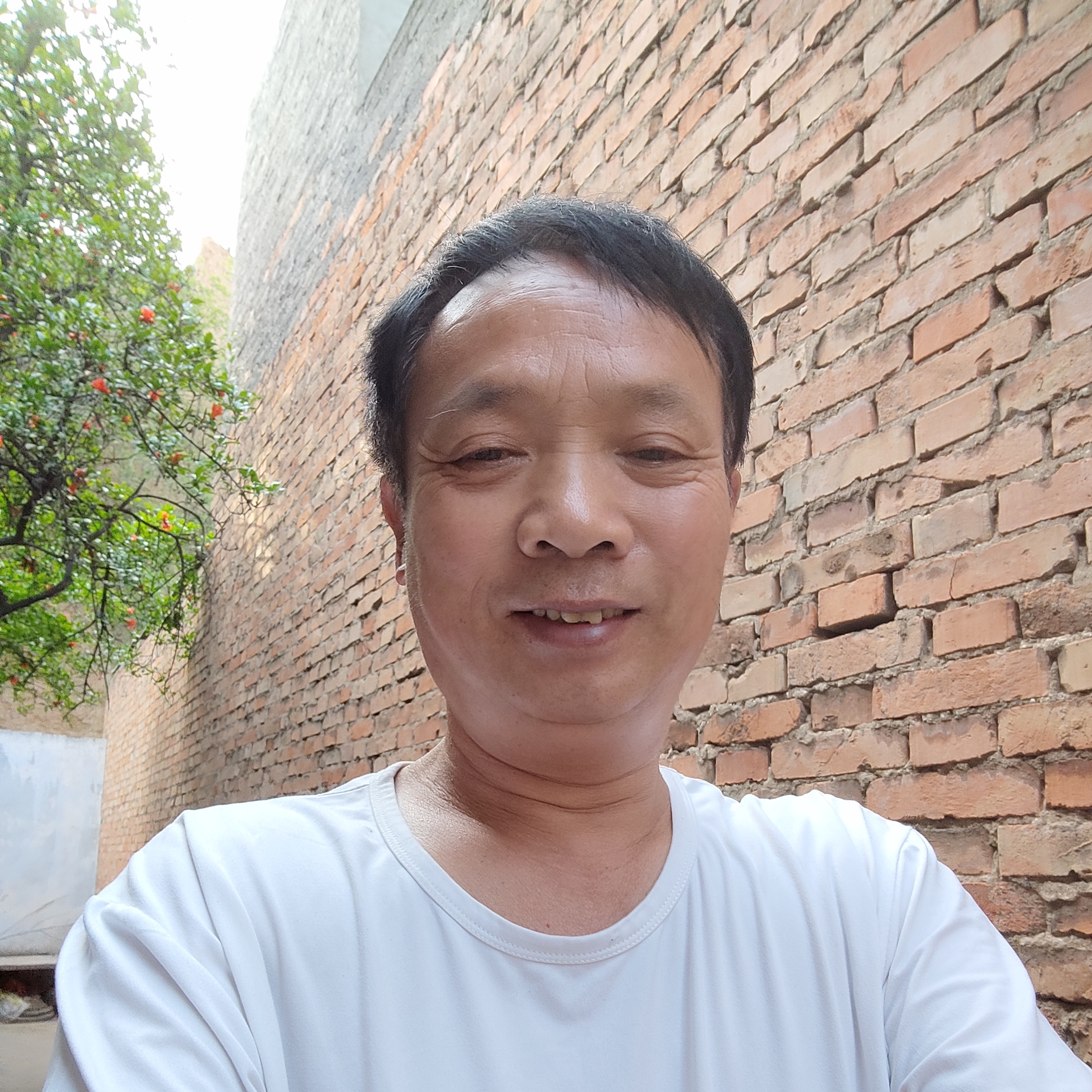 碧影蹁跹清脆的照片
