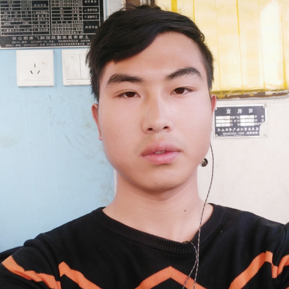 魁梧蹁跹冰棍的照片