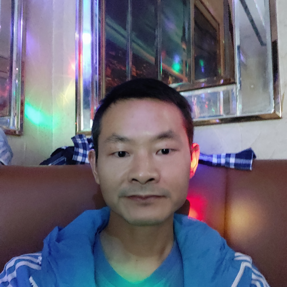 小蝴蝶恬静的照片