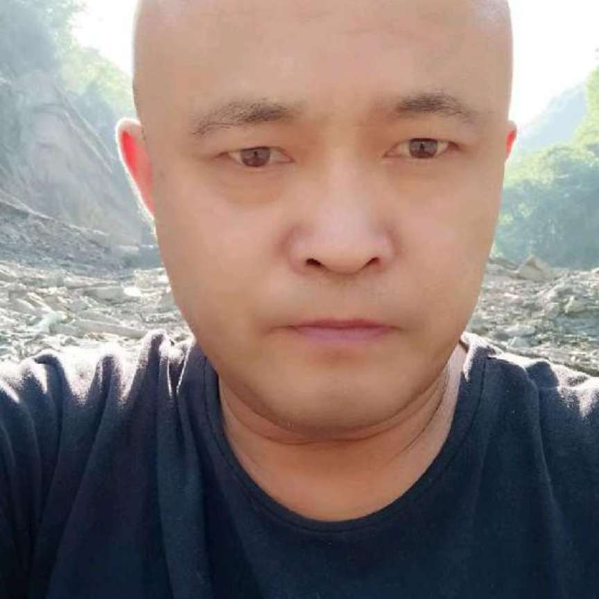 小天鹅优秀193的照片