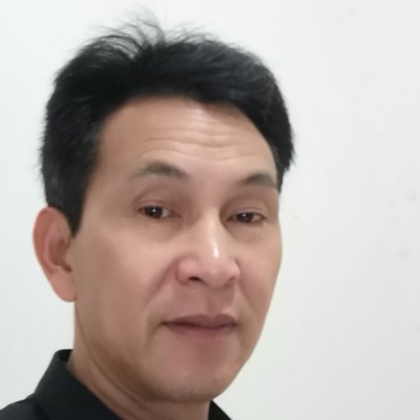 蜜蜂等待不解的的照片