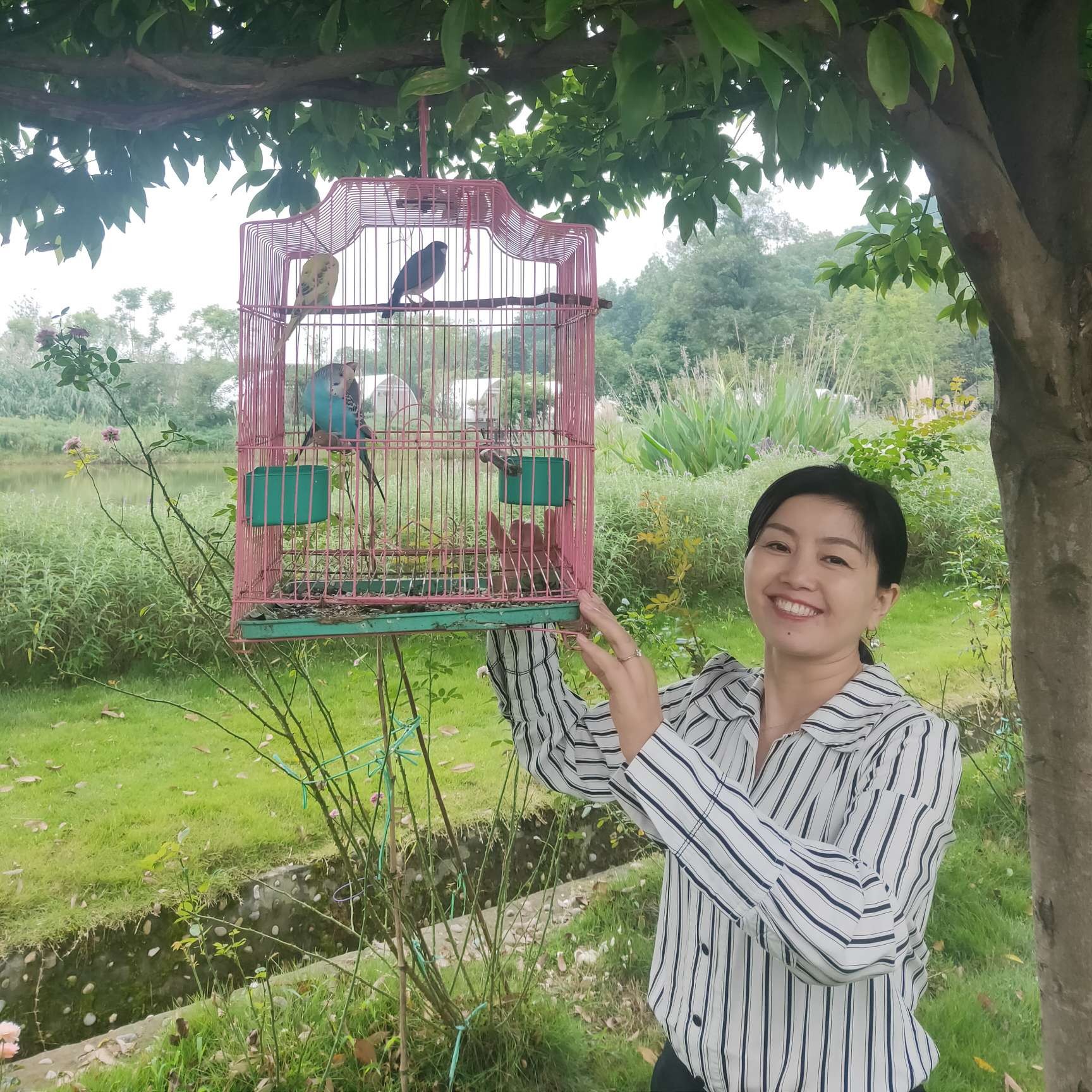 书本与如意的照片