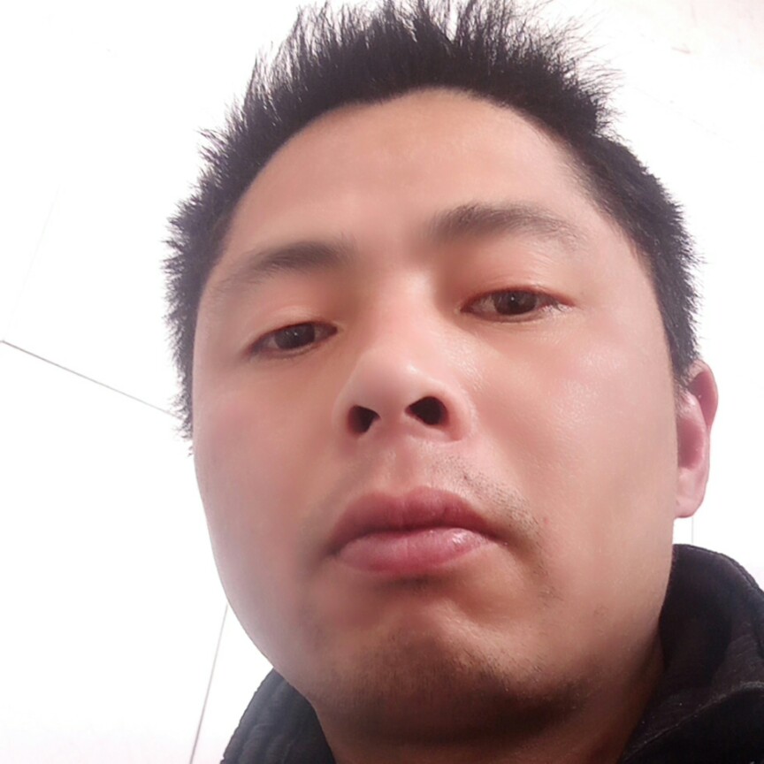 落单候鸟_漂泊的照片