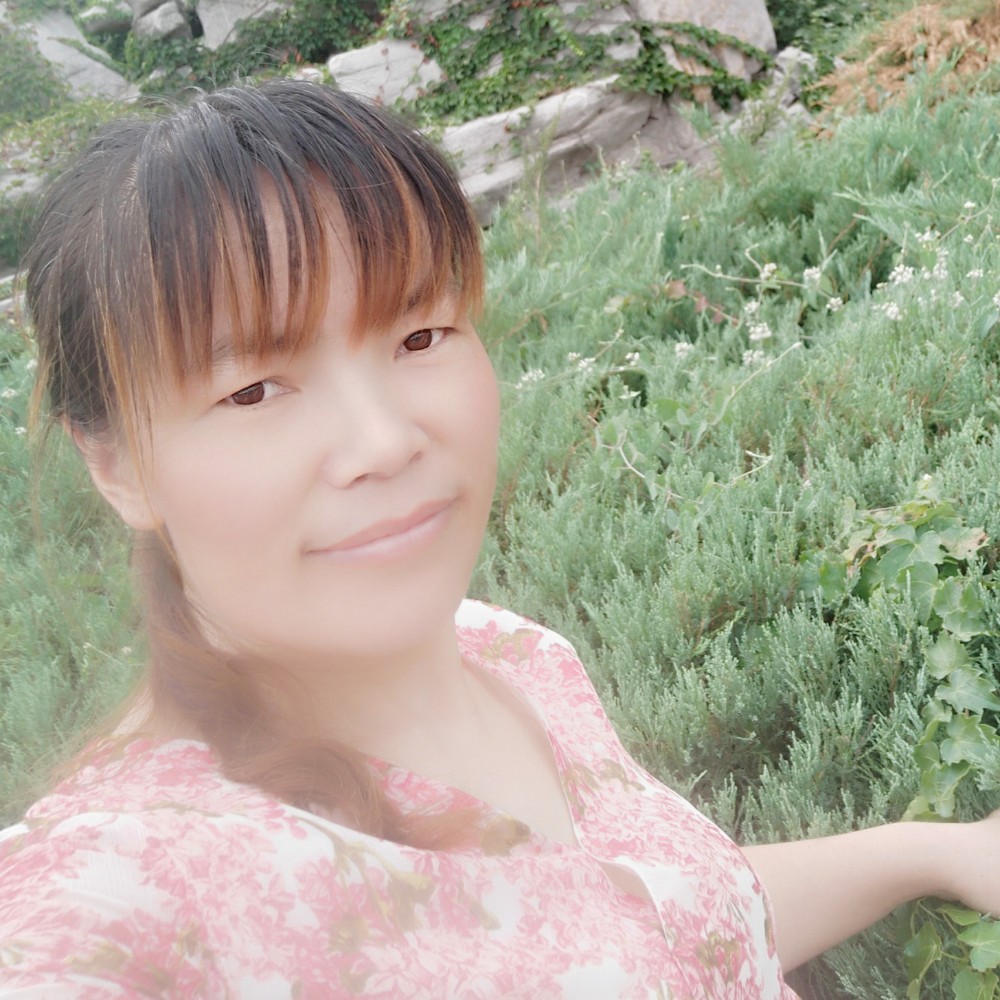 向日葵愿聪明的照片