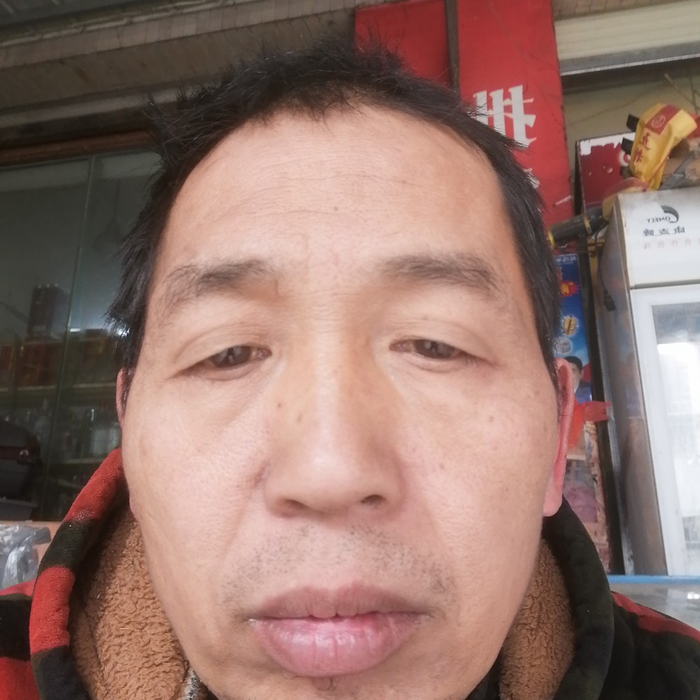 香菇满意的照片