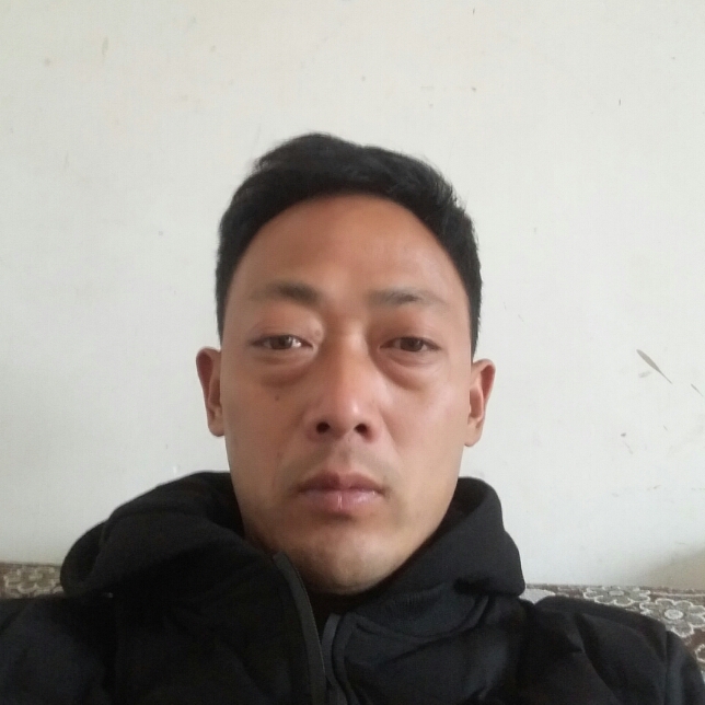 高挑发卡的照片