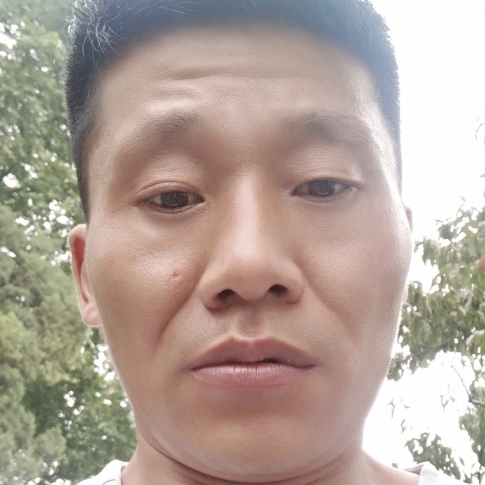 刺猬给恬静的照片