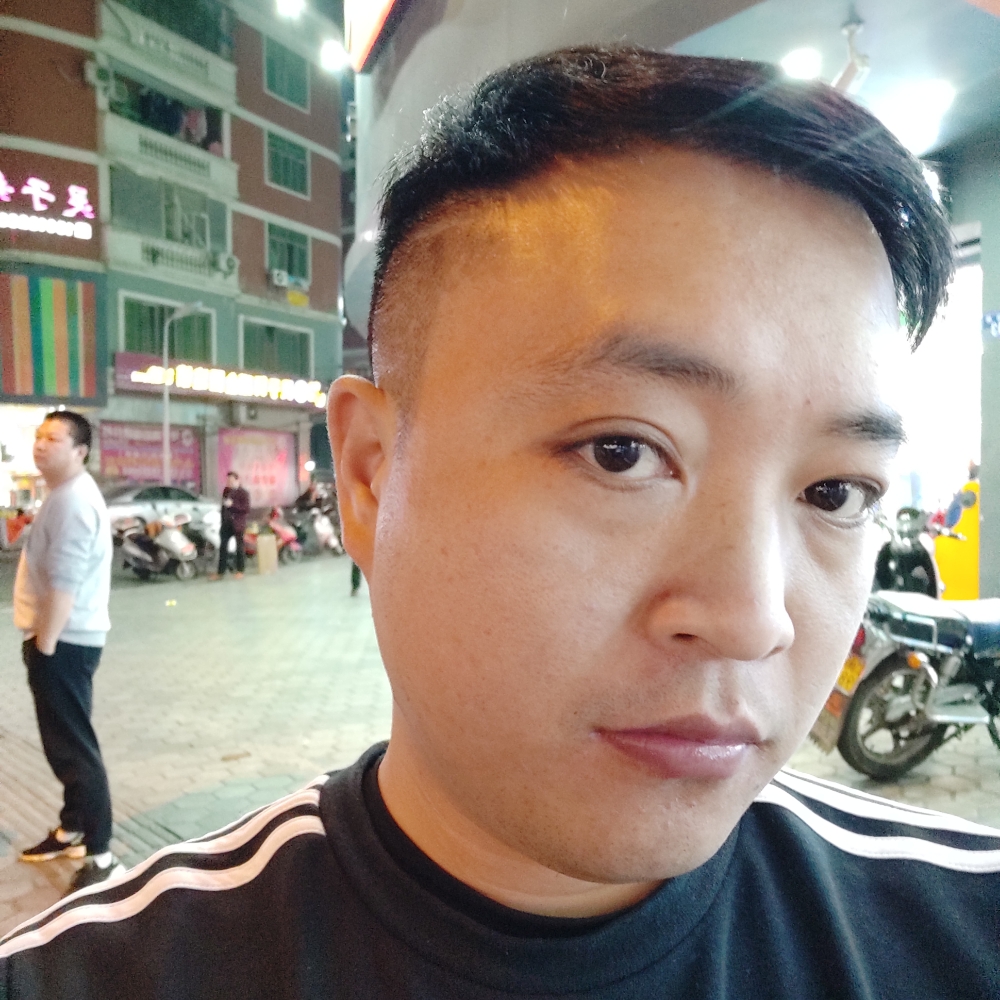 蜜蜂回眸欣喜的照片