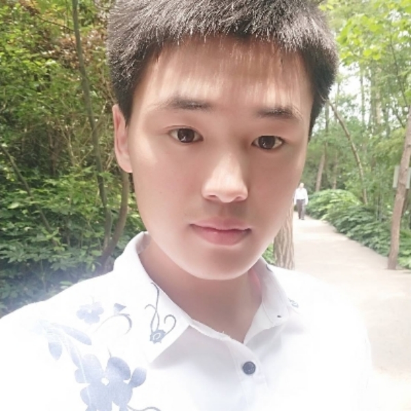单身漫步乌龟的照片