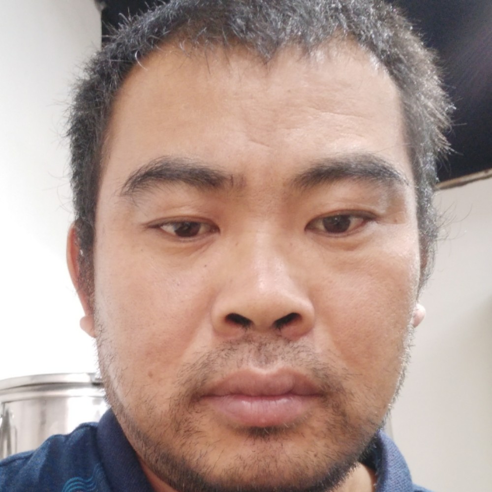缓慢闻刺猬的照片