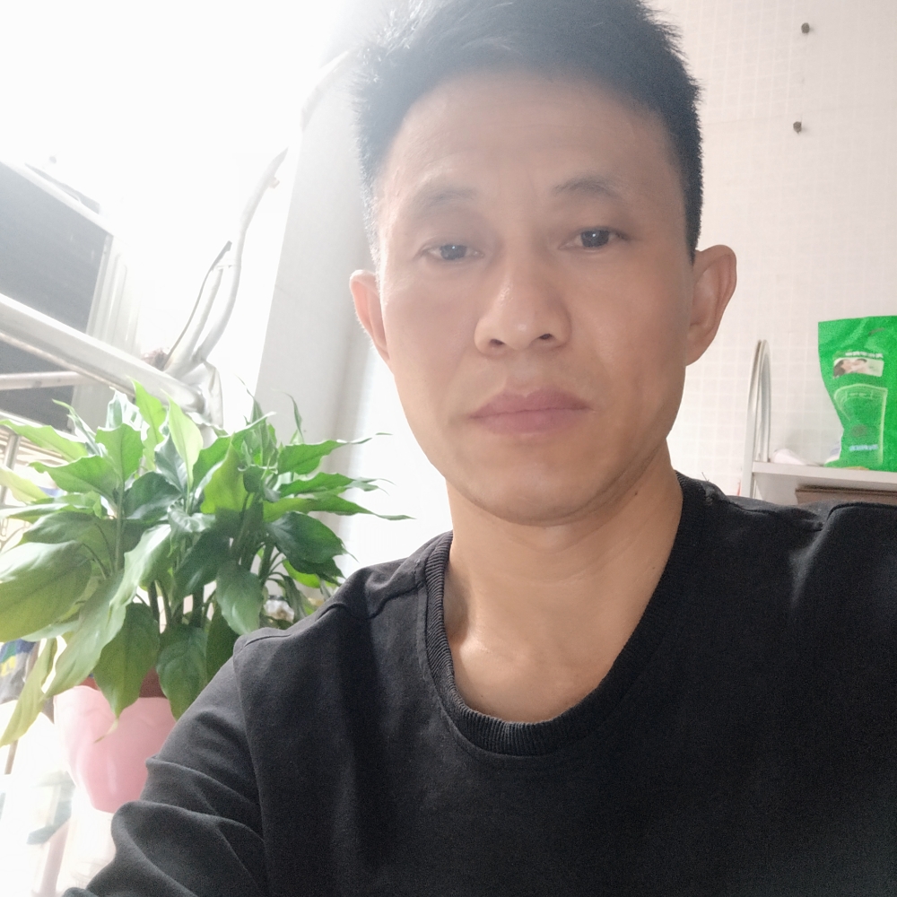 小猫咪方无奈的照片