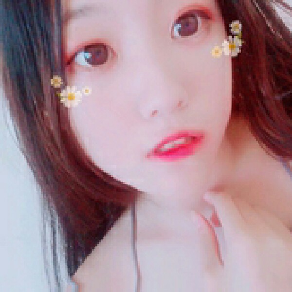 孤單刺猬的照片
