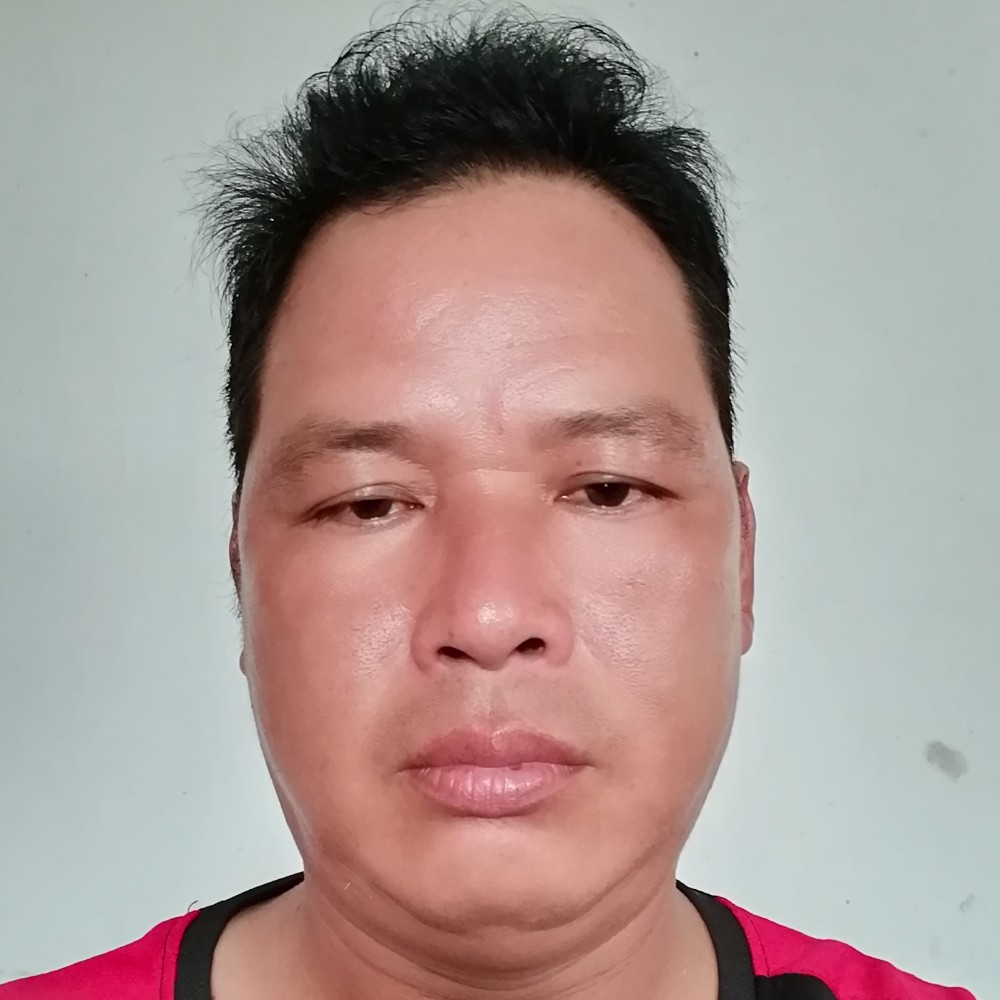 清脆苦恋网络的照片