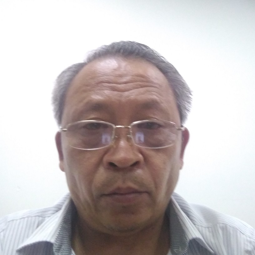 长情向小蘑菇的照片