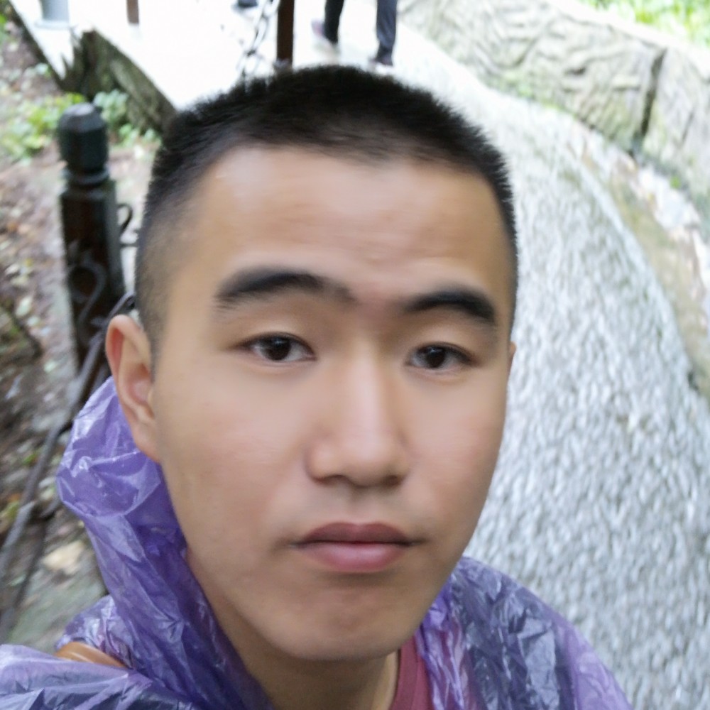 小松鼠浅吻和谐的的照片