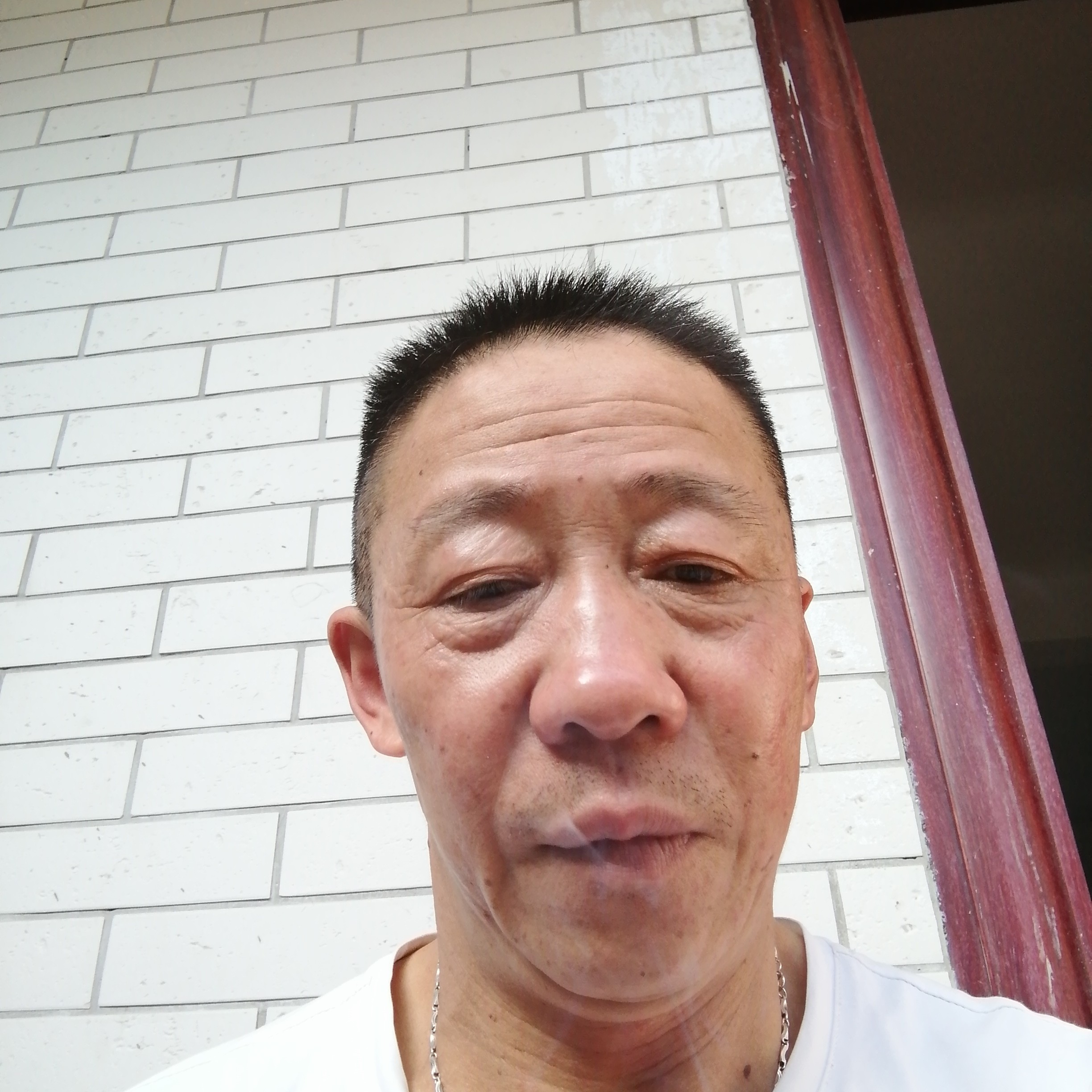 手套鳗鱼遂的照片