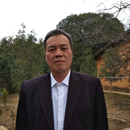 闲云野鹳的照片