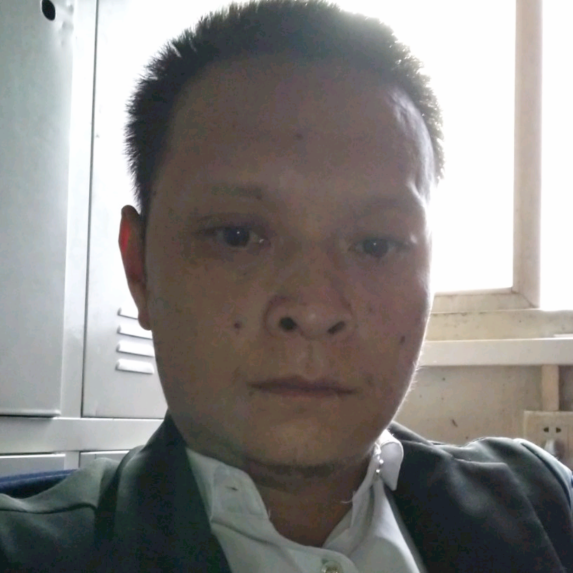 龙猫爱猫笼的照片