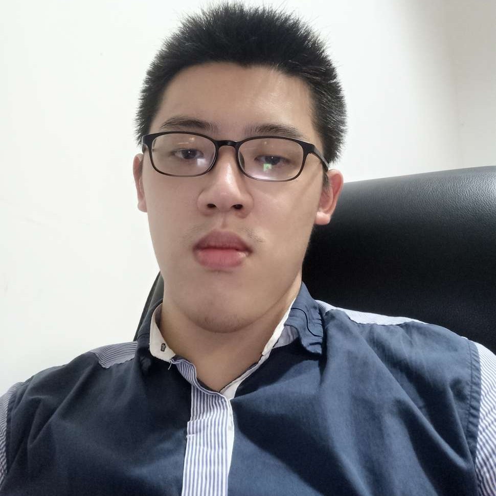 海洋酷鼠的照片