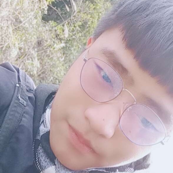 心岛就闪闪的照片
