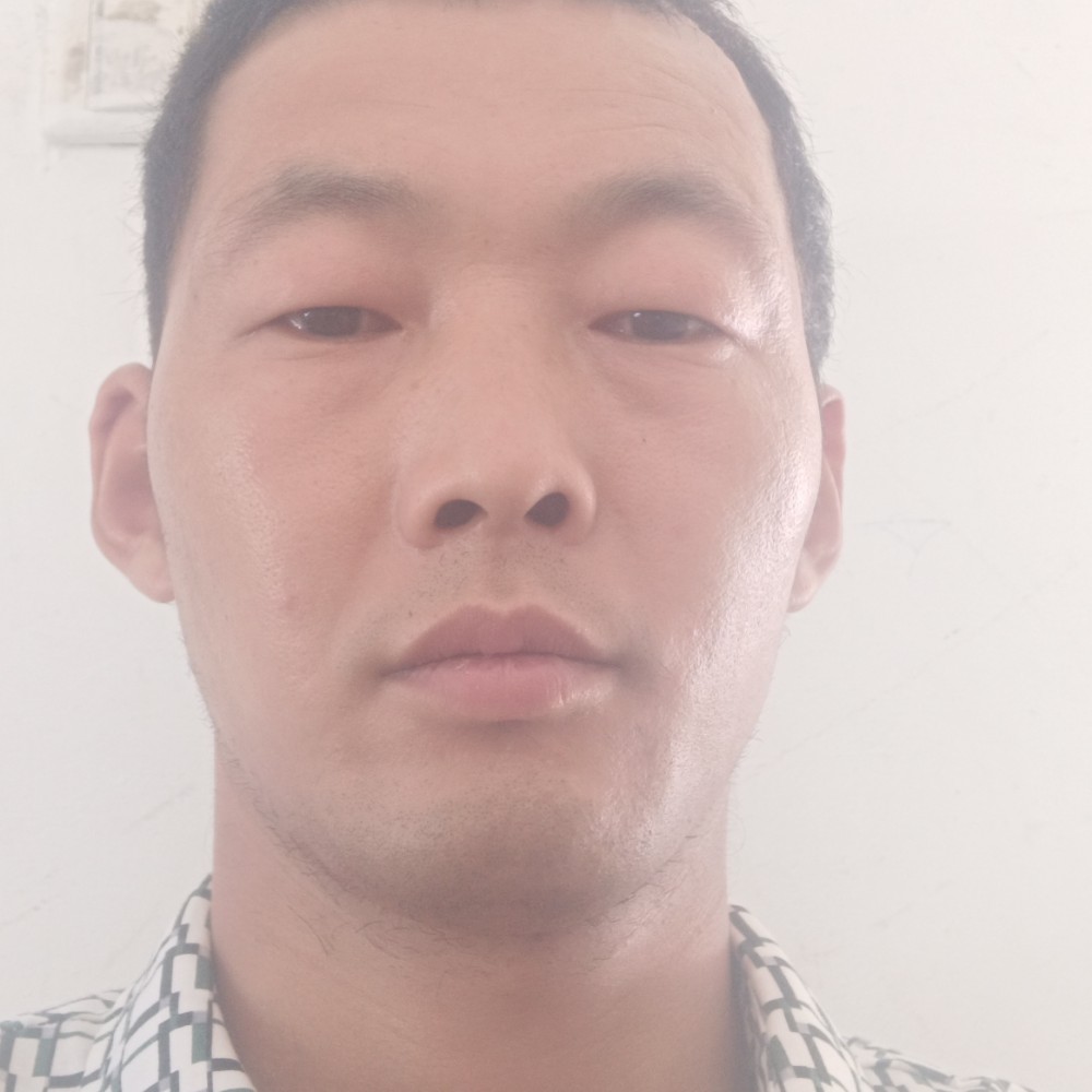 沙漠之舟。金子的照片