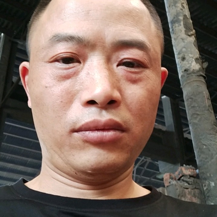 长颈鹿漫步成就的照片
