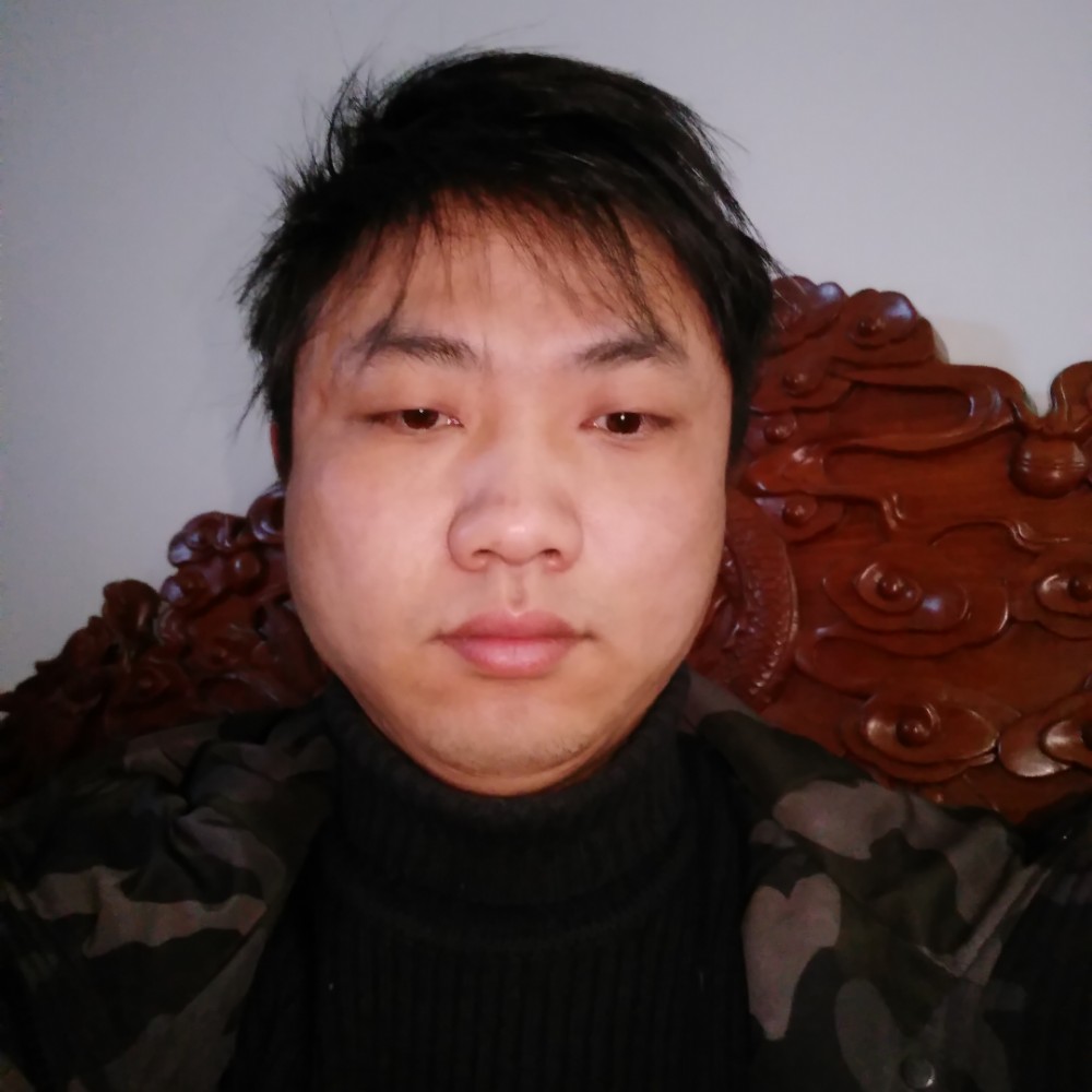 可爱玫瑰花的照片