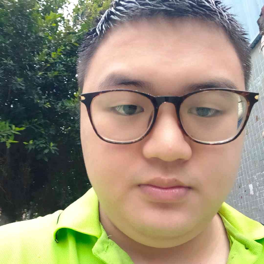 小刺猬回首丰富的照片