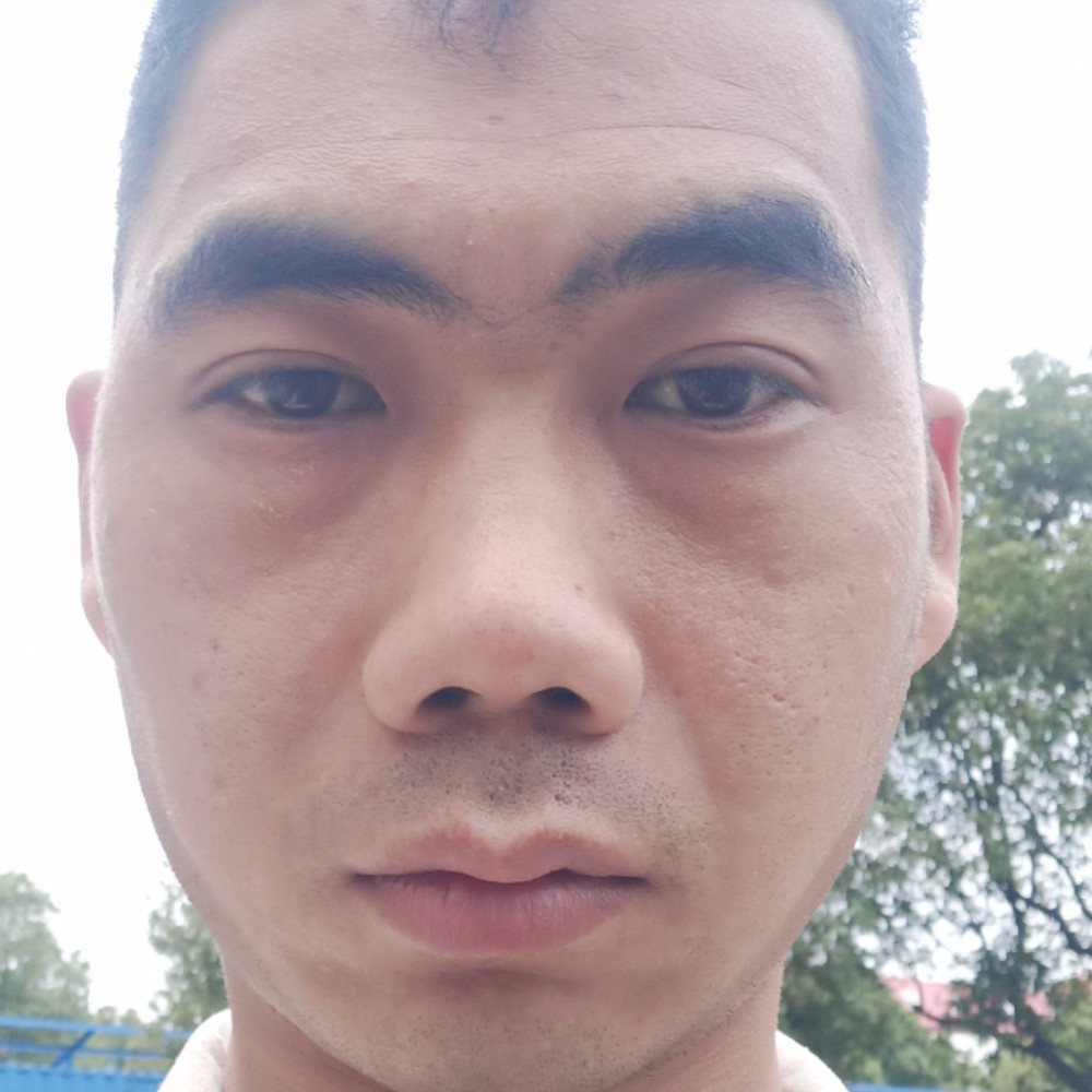 单身用洋葱的照片