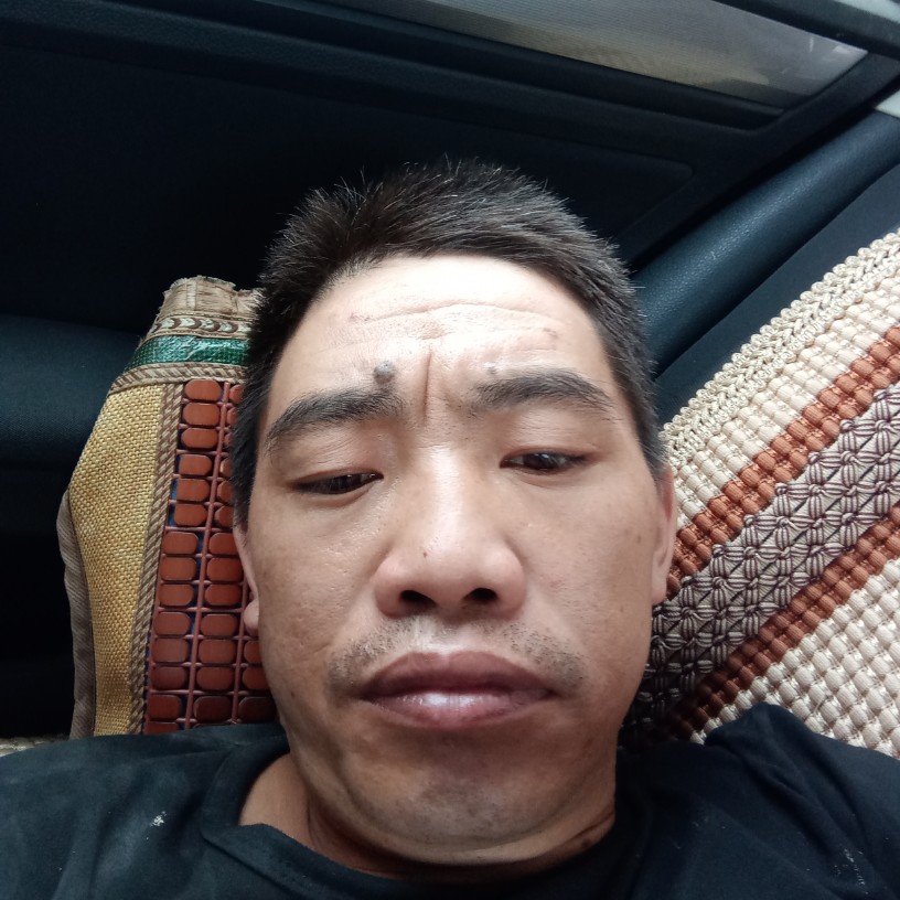 忧心笑黄蜂的照片