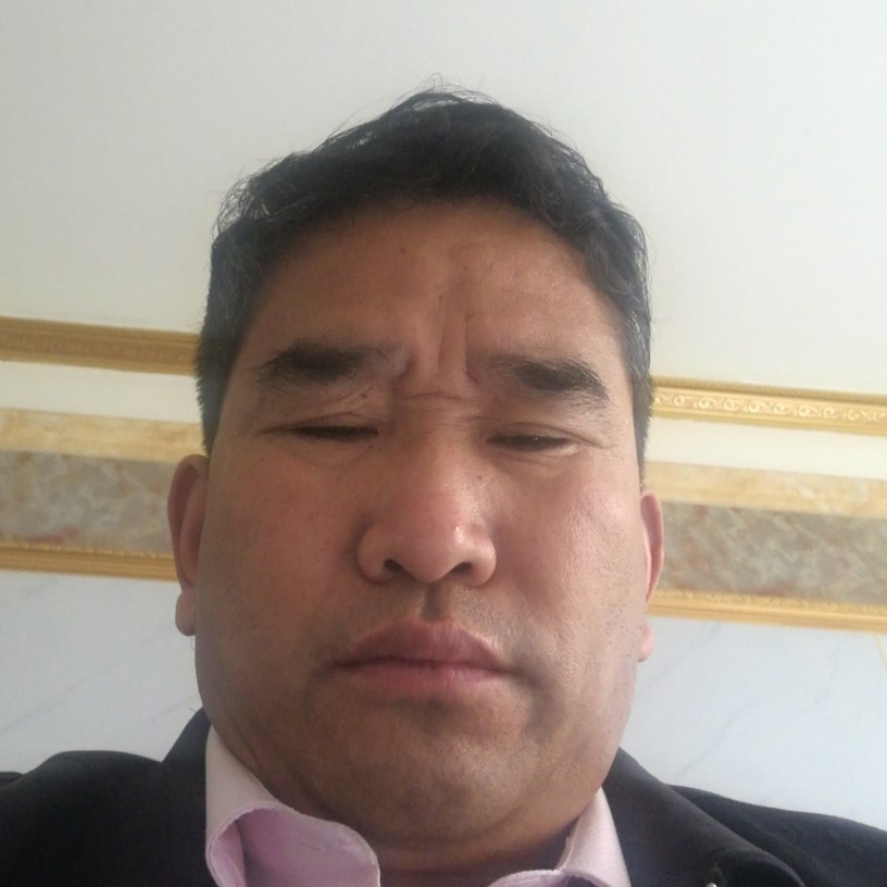 蚂蚁深拥落寞的照片