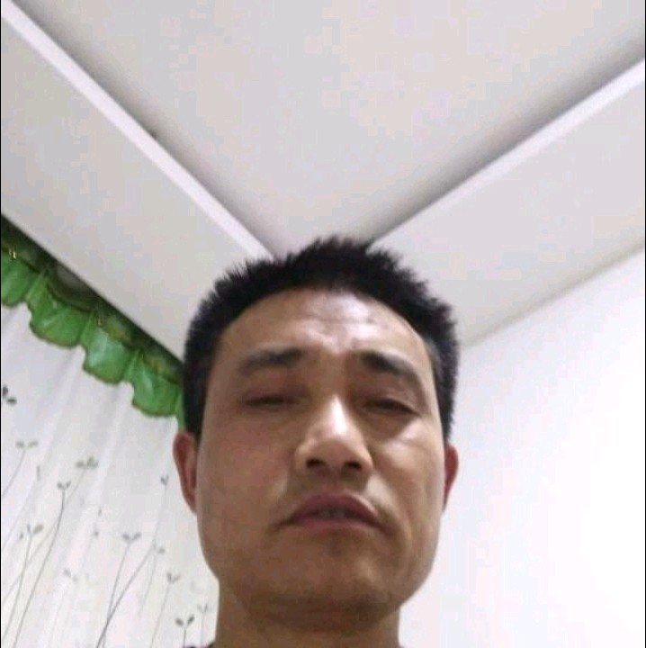 流年的放弃机器猫的照片