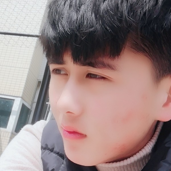 阳阳随便的照片