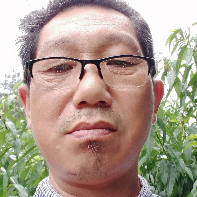 典雅挽手冬日的照片
