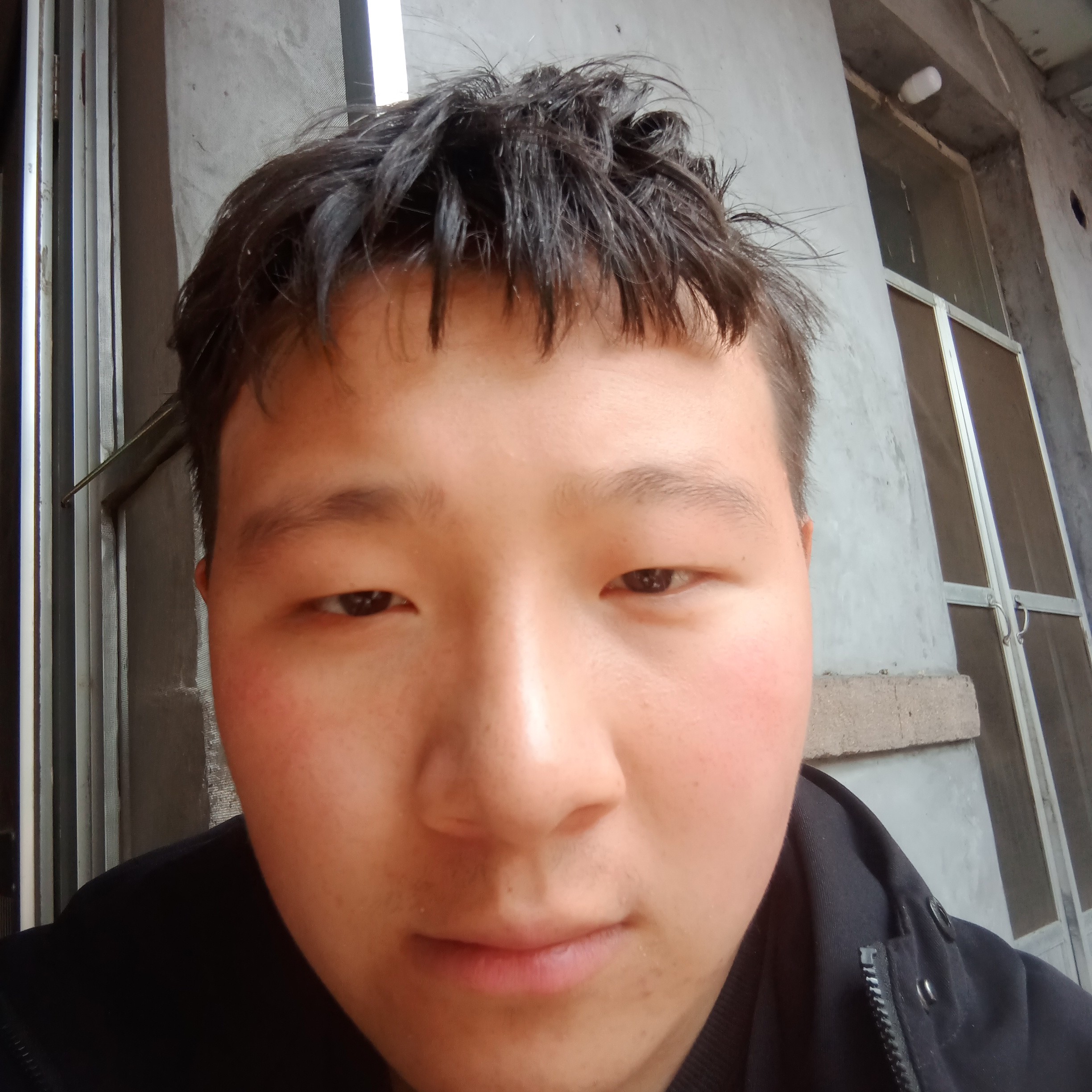海燕踢美好的照片