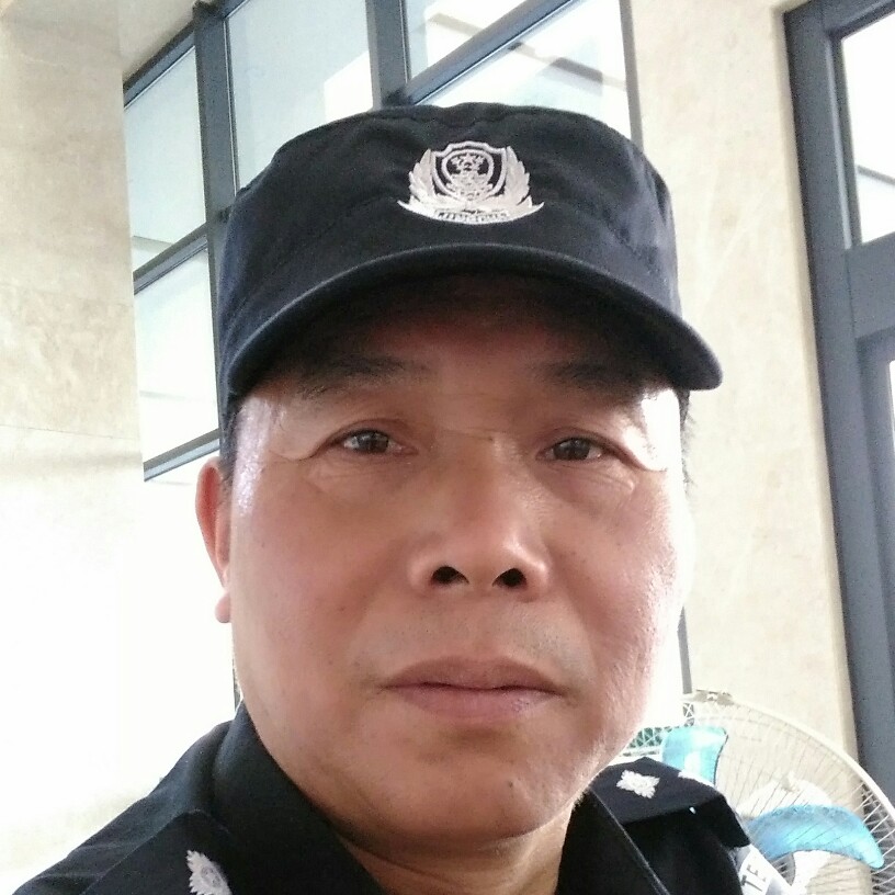 灰狼回眸单纯的照片