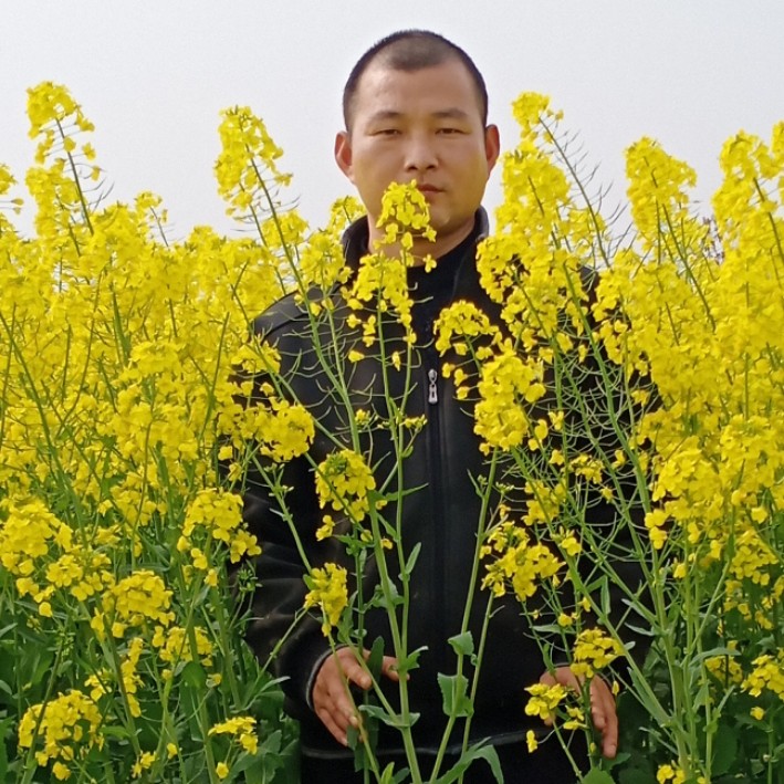 过去人生的照片