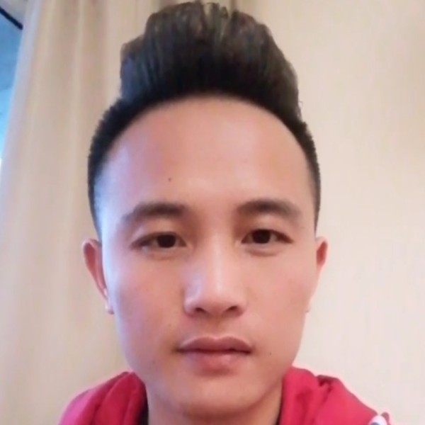 树叶停止1辈子旳的照片