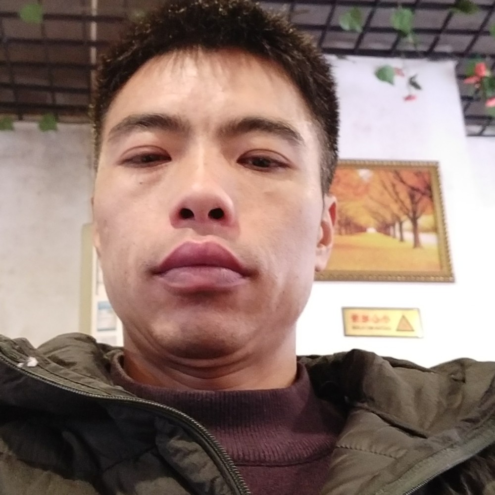 小天鹅扯细心的照片