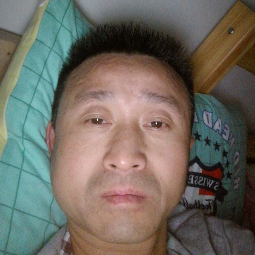 树叶幻灭的照片