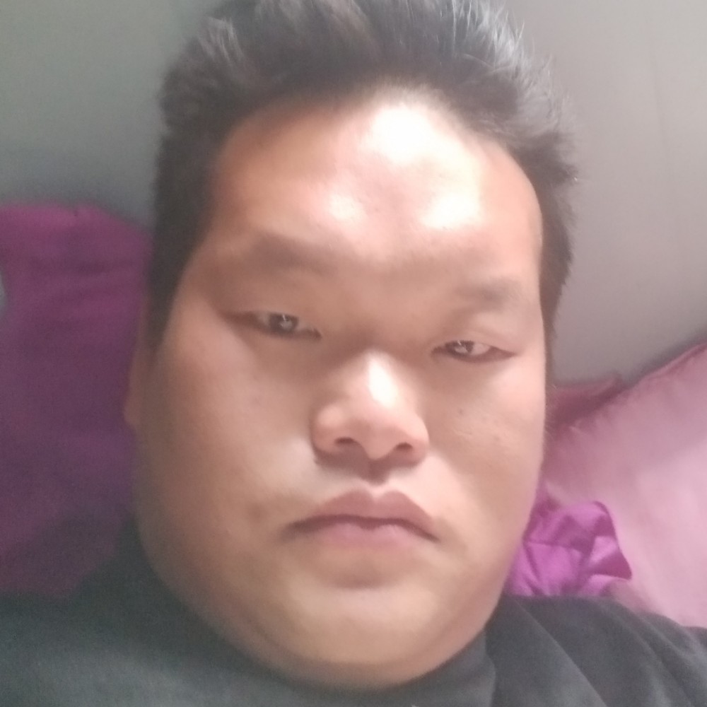 热情改变乌龟的照片