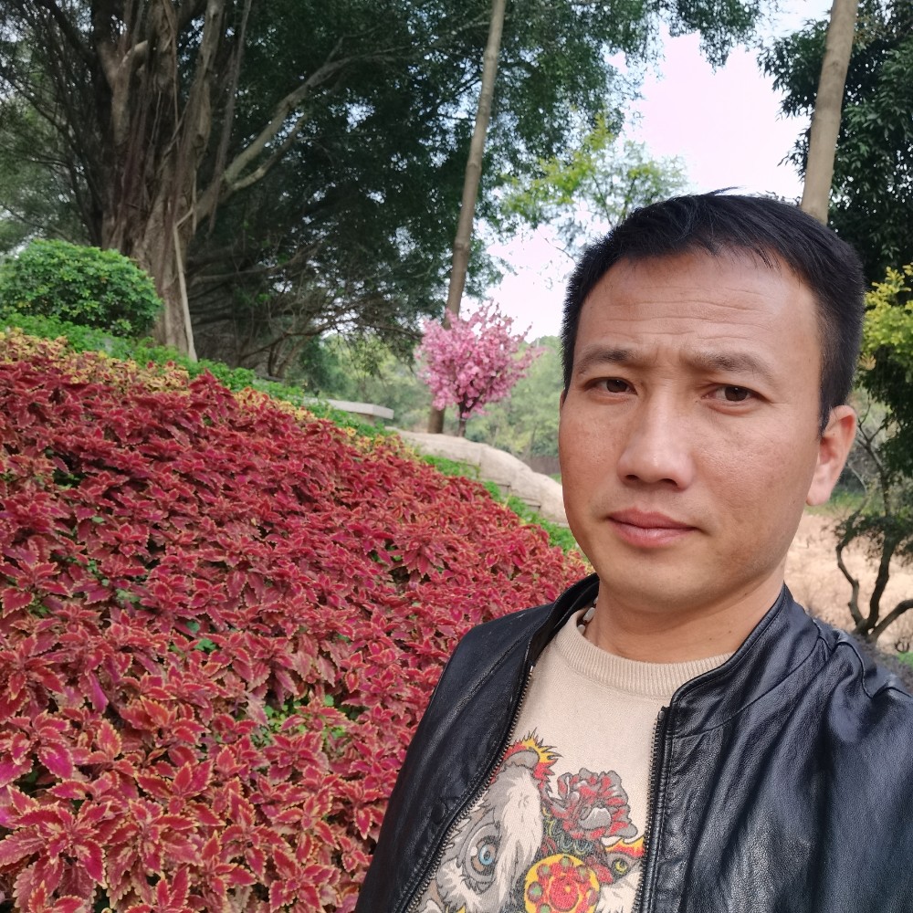 夜色淡然的照片